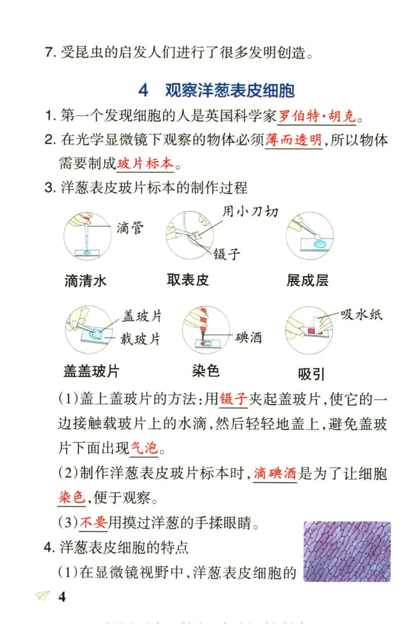 小学学霸作业本六年级上册科学教科版知识手册_2024年人教版小学数学一二三四五六年级上册下册期中期末试a0747_小学全科《同步练习+精品试卷》打包下载（1-6年级单元月考期中期末试卷）