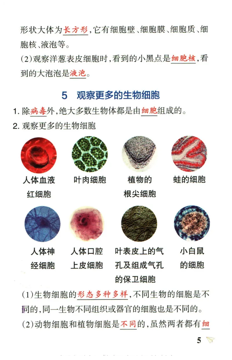 小学学霸作业本六年级上册科学教科版知识手册_2024年人教版小学数学一二三四五六年级上册下册期中期末试a0747_小学全科《同步练习+精品试卷》打包下载（1-6年级单元月考期中期末试卷）