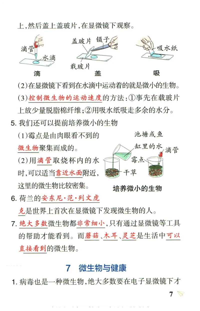小学学霸作业本六年级上册科学教科版知识手册_2024年人教版小学数学一二三四五六年级上册下册期中期末试a0747_小学全科《同步练习+精品试卷》打包下载（1-6年级单元月考期中期末试卷）