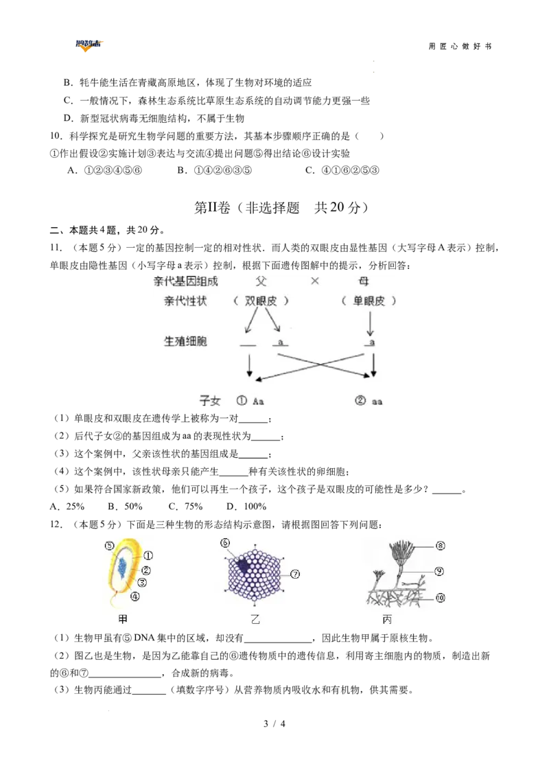 生物（安徽卷）（考试版A4）_2025年初中《中考第一次模拟》全国各地区模拟卷（8科全）(1)_2025年《中考第一次模拟卷》初中生物_安徽&radic;