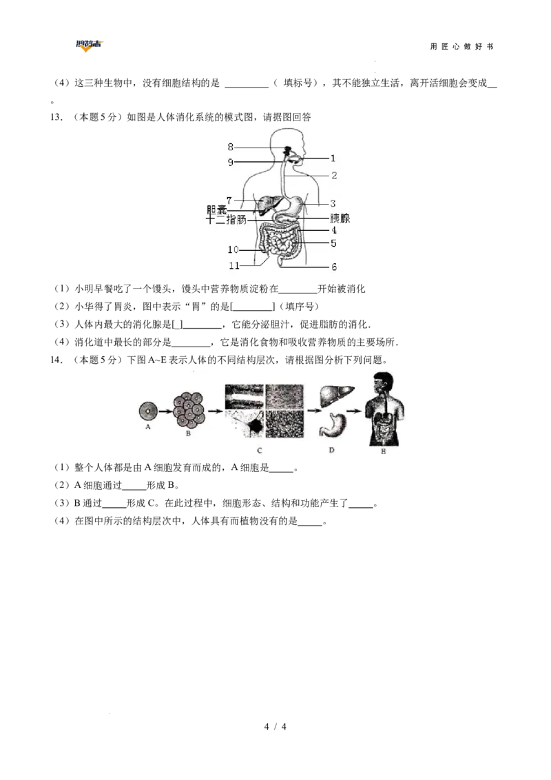生物（安徽卷）（考试版A4）_2025年初中《中考第一次模拟》全国各地区模拟卷（8科全）(1)_2025年《中考第一次模拟卷》初中生物_安徽&radic;