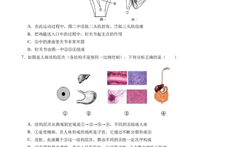生物（安徽卷）（考试版A4）_2025年初中《中考第一次模拟》全国各地区模拟卷（8科全）(1)_2025年《中考第一次模拟卷》初中生物_安徽&radic;