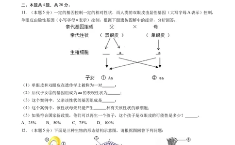 生物（安徽卷）（考试版A4）_2025年初中《中考第一次模拟》全国各地区模拟卷（8科全）(1)_2025年《中考第一次模拟卷》初中生物_安徽&radic;