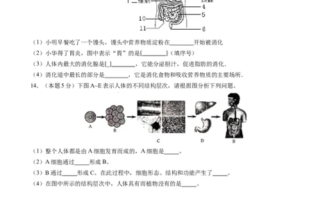 生物（安徽卷）（考试版A4）_2025年初中《中考第一次模拟》全国各地区模拟卷（8科全）(1)_2025年《中考第一次模拟卷》初中生物_安徽&radic;