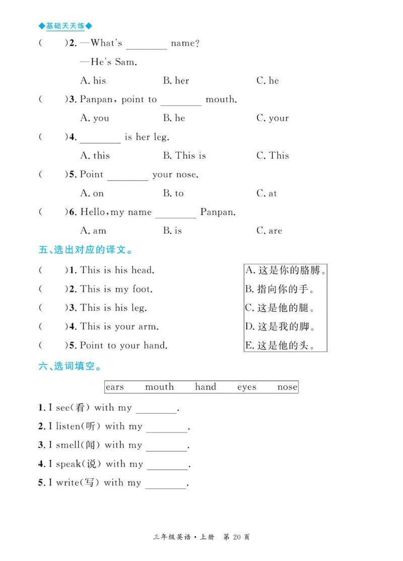 全优期末真题卷外研版英语3年级上册基础天天练_2024年人教版小学数学一二三四五六年级上册下册期中期末试a0747_期末总复习_《全优期末真题卷》