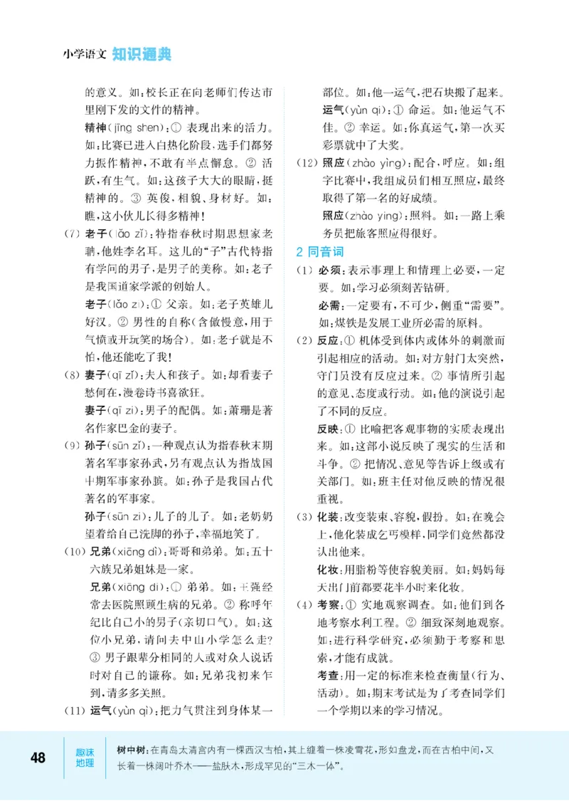 【小学语文】知识通典（人教版）