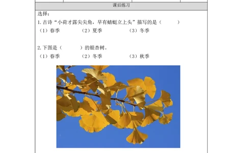1009二年级科学(教科版)不同的季节-4练习题_二年级上下册资料_小学二年级学习资料-25年更新版_2-09、小学二年级科学上册_教科版_课时练