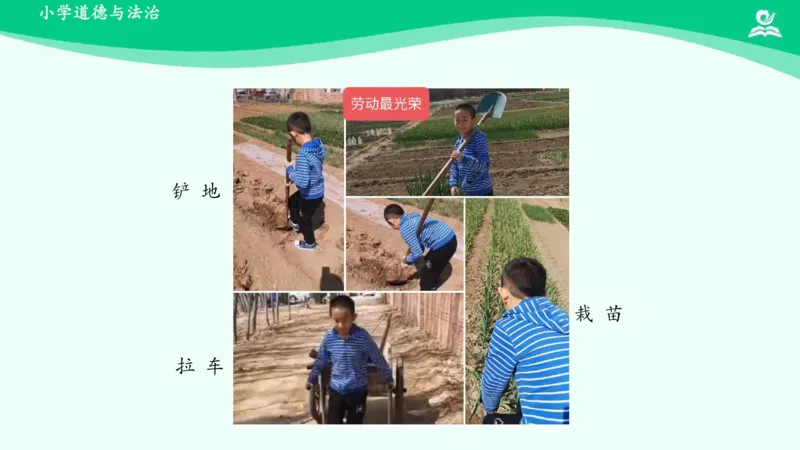 13干点家务活_课件_一年级上下册资料_小学一年级学习资料-25年更新版_1-08、小学一年级道德与法治下册_课时练与课件