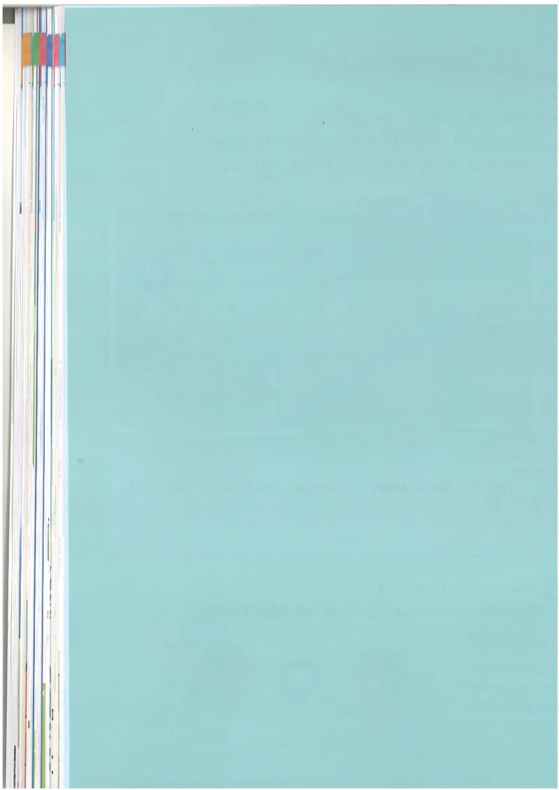 2025新外研版英语四年级上册电子课本_小学全网线上同款资料_2025秋新增教材合集_小学英语