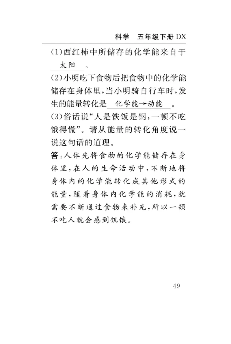 大象版科学五年级下册速记速查_2024年人教版小学数学一二三四五六年级上册下册期中期末试a0747_小学全科《同步练习+精品试卷》打包下载（1-6年级单元月考期中期末试卷）_小学科学