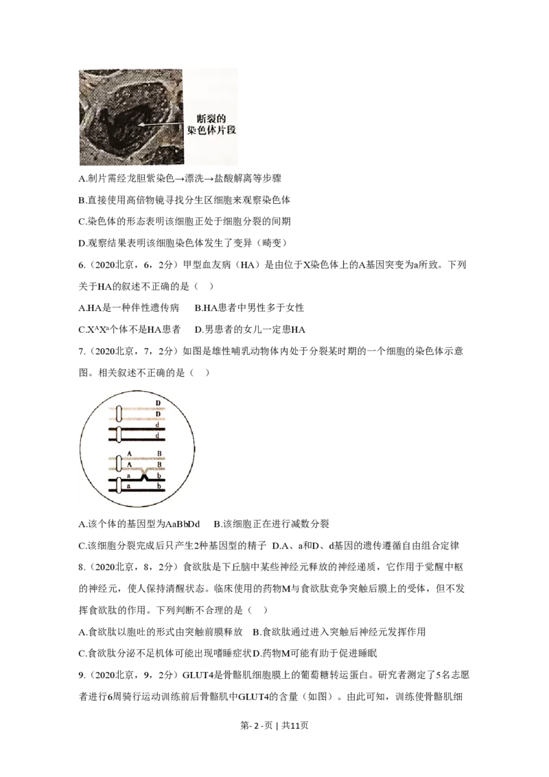 2020年高考生物试卷（北京）（空白卷）_生物历年高考真题_新&middot;PDF版2008-2025&middot;高考生物真题_生物（按试卷类型分类）2008-2025_自主命题卷&middot;生物（2008-2025）_北京自主命题&middot;生物（2008-2025）