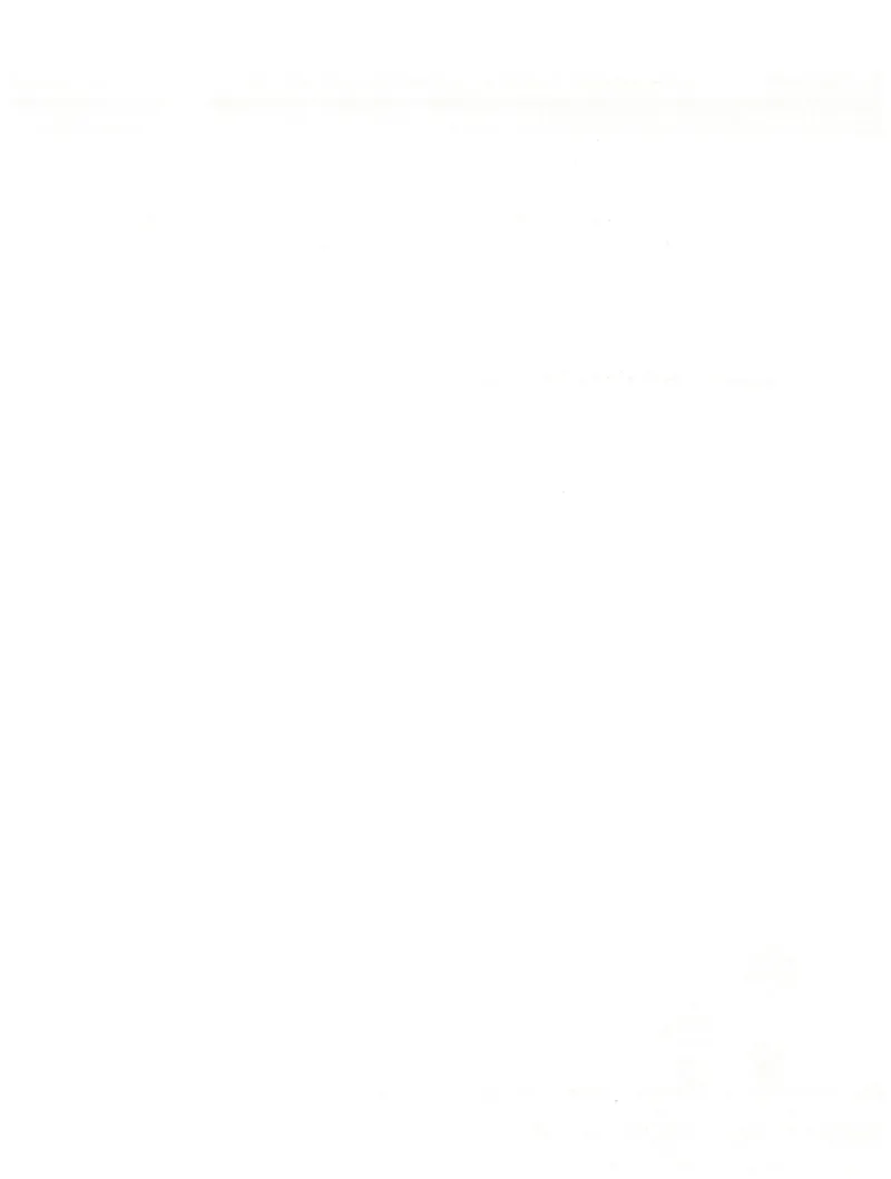 2年级12月_一年级1-12月计算小超市_二年级1-12月计算小超市