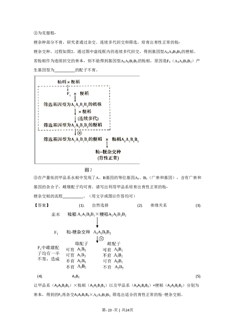 2020年高考生物试卷（北京）（解析卷）_生物历年高考真题_新&middot;PDF版2008-2025&middot;高考生物真题_生物（按年份分类）2008-2025_2020&middot;高考生物真题