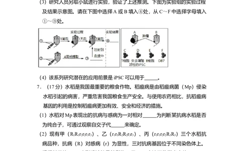 2018年高考生物试卷（北京）（空白卷）_生物历年高考真题_新&middot;Word版2008-2025&middot;高考生物真题_生物（按年份分类）2008-2025_2018&middot;高考生物真题