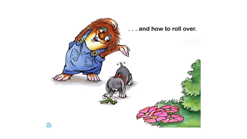 23.Justmeandmypuppy_Frank（小毛怪）老师爆笑阅读单词课（50个故事3000词）_小炸毛爆笑故事单词课课件