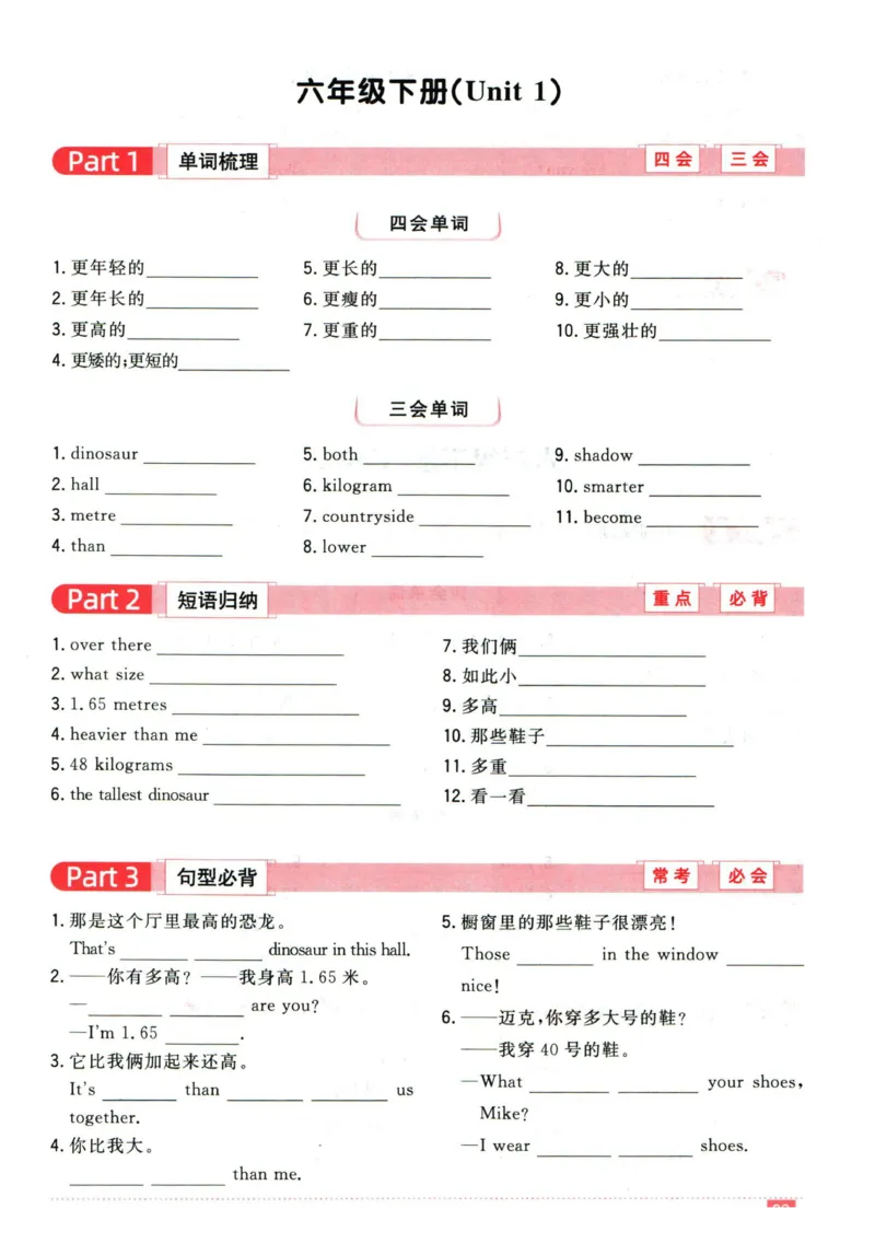 阳光同学教材知识梳理英语_2024年人教版小学数学一二三四五六年级上册下册期中期末试a0747_小学全科《同步练习+精品试卷》打包下载（1-6年级单元月考期中期末试卷）