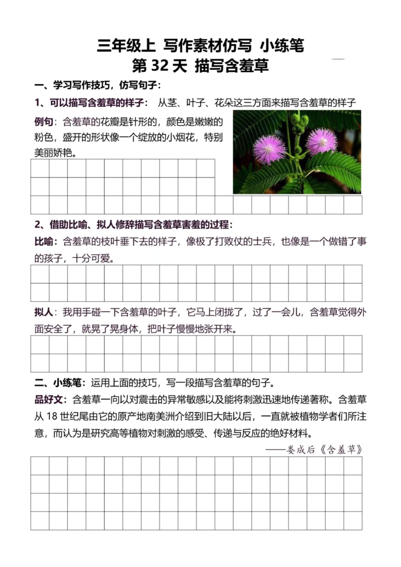 3年级上好文仿写小练笔新132页_A016天天小练笔_3上天天小练笔