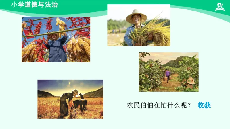 17坚持才会有收获_课件_二年级上下册资料_小学二年级学习资料-25年更新版_2-08、小学二年级道德与法治下册_课时练与课件