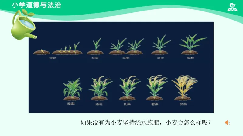 17坚持才会有收获_课件_二年级上下册资料_小学二年级学习资料-25年更新版_2-08、小学二年级道德与法治下册_课时练与课件