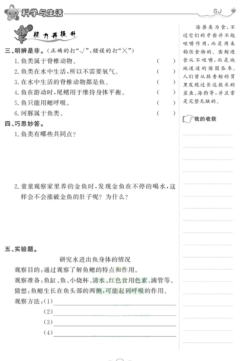 科学四年级上册苏教版_2024年人教版小学数学一二三四五六年级上册下册期中期末试a0747_小学全科《同步练习+精品试卷》打包下载（1-6年级单元月考期中期末试卷）_小学科学