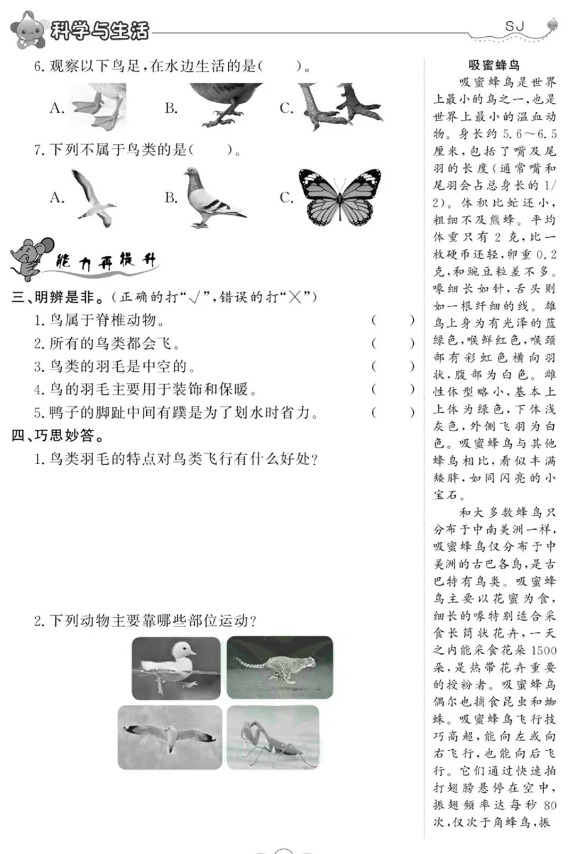 科学四年级上册苏教版_2024年人教版小学数学一二三四五六年级上册下册期中期末试a0747_小学全科《同步练习+精品试卷》打包下载（1-6年级单元月考期中期末试卷）_小学科学