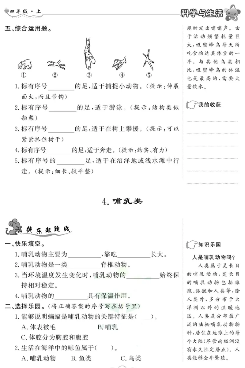 科学四年级上册苏教版_2024年人教版小学数学一二三四五六年级上册下册期中期末试a0747_小学全科《同步练习+精品试卷》打包下载（1-6年级单元月考期中期末试卷）_小学科学