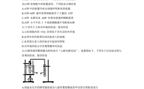 2018年高考生物试卷（浙江）（4月）（空白卷）_生物历年高考真题_新&middot;Word版2008-2025&middot;高考生物真题_生物（按试卷类型分类）2008-2025_自主命题卷&middot;生物（2008-2025）