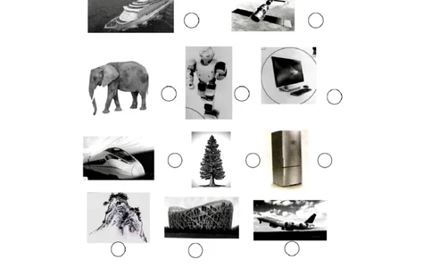 新人教版小学一年级上册科学期末测试卷(含答案)_2024年人教版小学数学一二三四五六年级上册下册期中期末试a0747_小学科学_科学（人教鄂教版）试卷习题教辅汇总