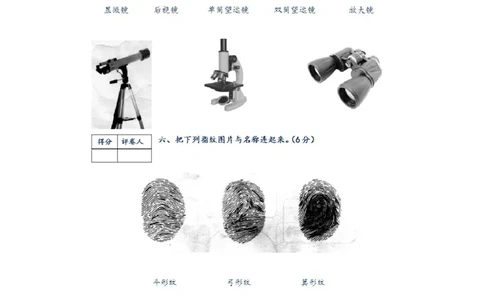 新人教版小学一年级上册科学期末测试卷(含答案)_2024年人教版小学数学一二三四五六年级上册下册期中期末试a0747_小学科学_科学（人教鄂教版）试卷习题教辅汇总