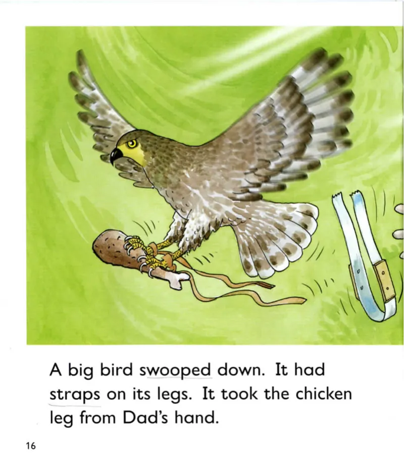 5-20TheAdventurePark_Frank（小毛怪）老师爆笑阅读单词课（50个故事3000词）_牛津树5级别穿越单词课课件