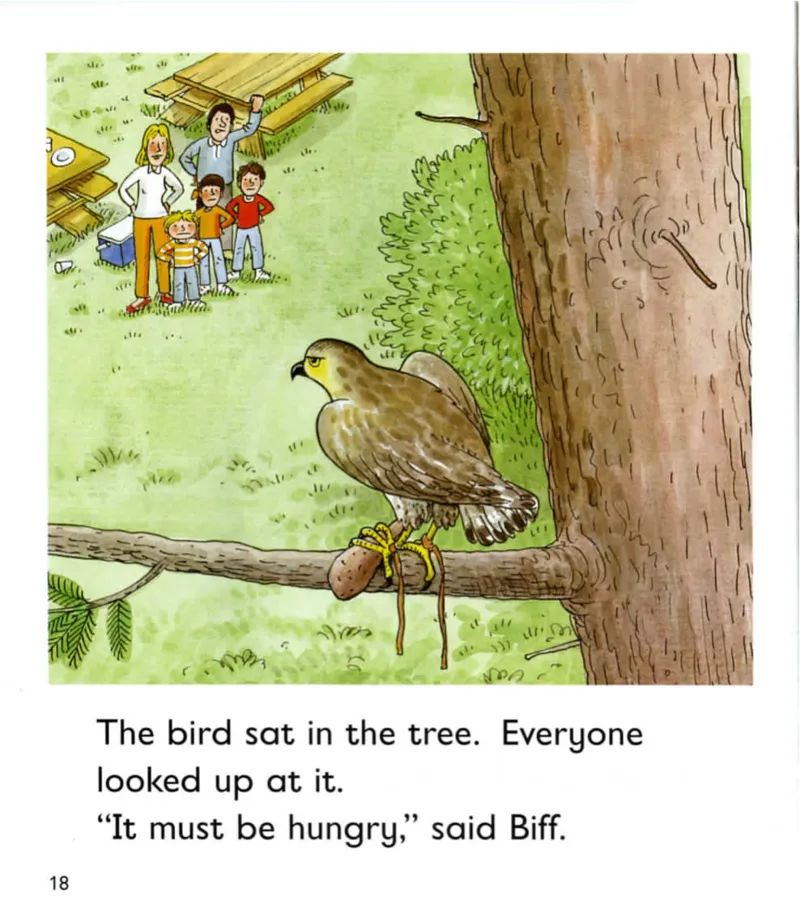 5-20TheAdventurePark_Frank（小毛怪）老师爆笑阅读单词课（50个故事3000词）_牛津树5级别穿越单词课课件