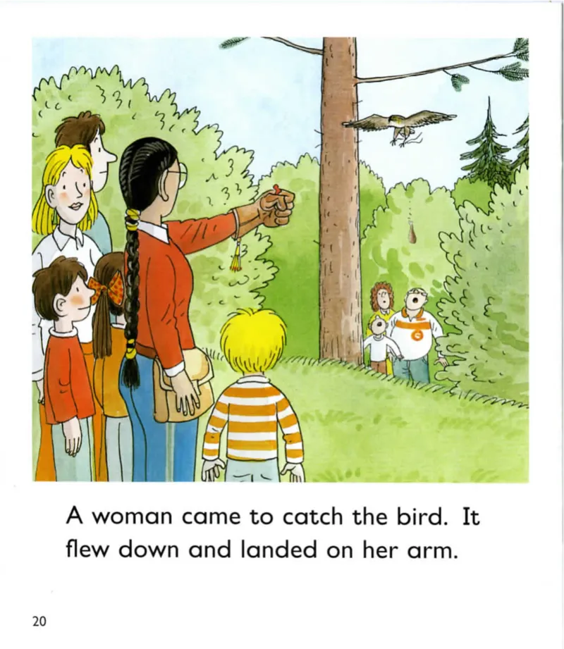 5-20TheAdventurePark_Frank（小毛怪）老师爆笑阅读单词课（50个故事3000词）_牛津树5级别穿越单词课课件