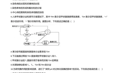 2020年高考生物试卷（浙江）7月（空白卷）_生物历年高考真题_新&middot;Word版2008-2025&middot;高考生物真题_生物（按年份分类）2008-2025_2020&middot;高考生物真题