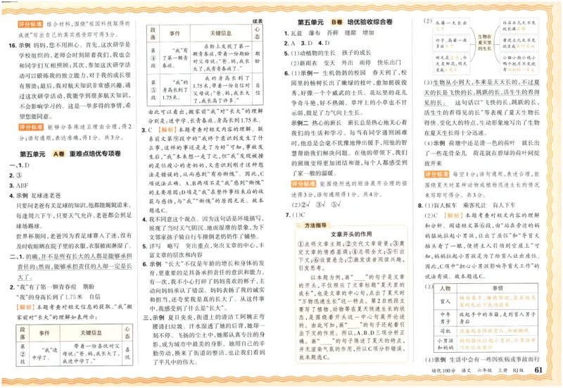 25秋王朝霞：培优100分 6语上