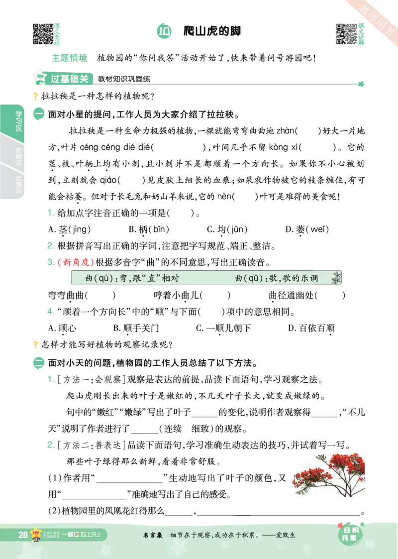 2025秋一遍过语文RJ4上主书_四年级上册