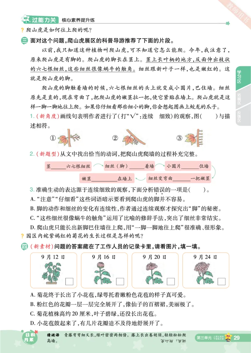 2025秋一遍过语文RJ4上主书_四年级上册