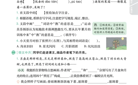 2025秋一遍过语文RJ4上主书_四年级上册