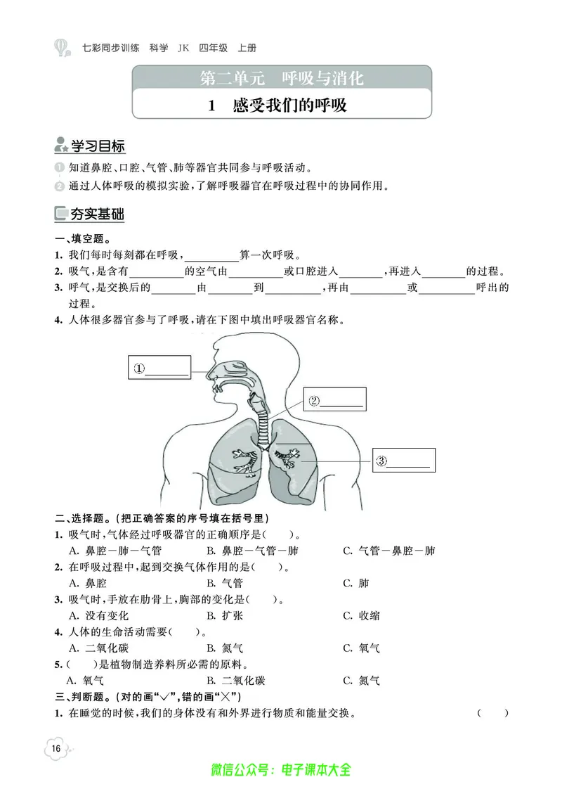 科学4a_2024年人教版小学数学一二三四五六年级上册下册期中期末试a0747_小学全科《同步练习+精品试卷》打包下载（1-6年级单元月考期中期末试卷）_小学科学