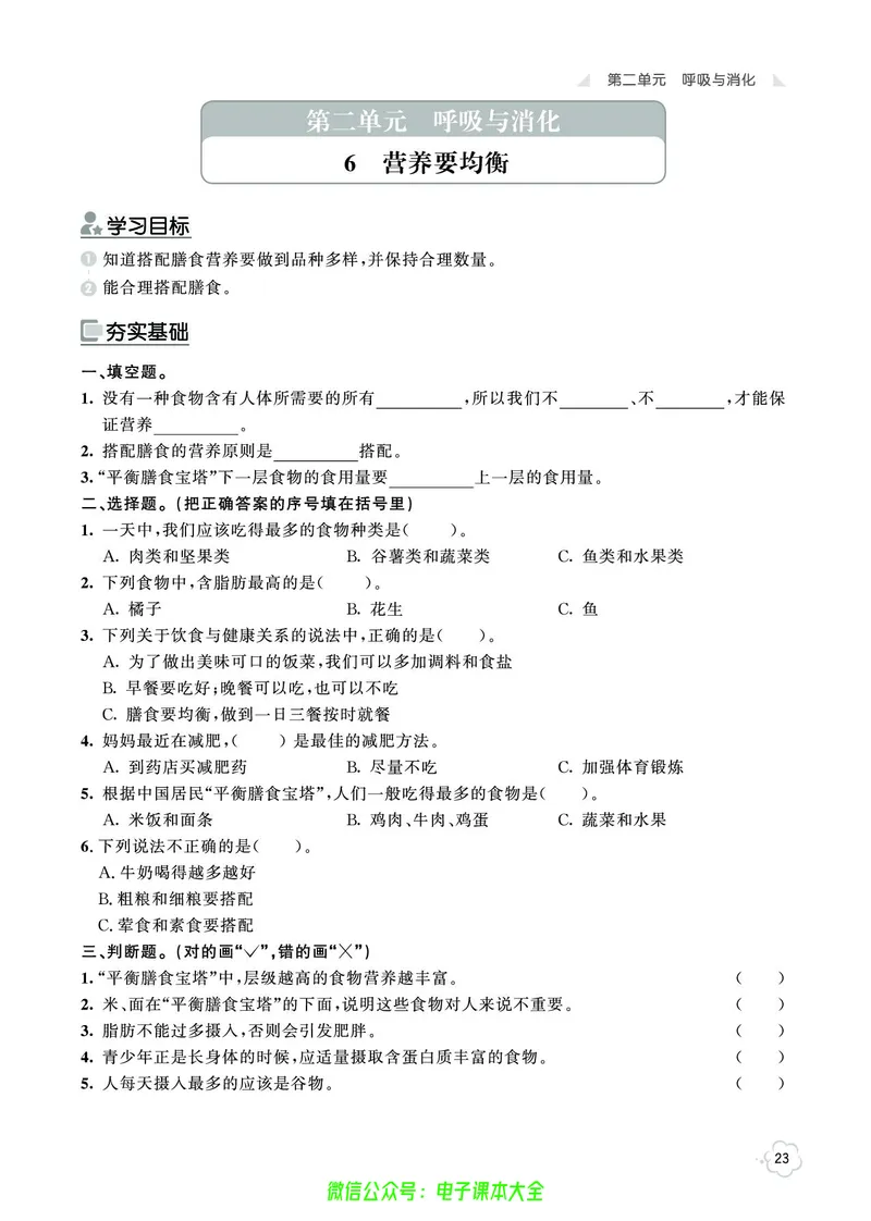 科学4a_2024年人教版小学数学一二三四五六年级上册下册期中期末试a0747_小学全科《同步练习+精品试卷》打包下载（1-6年级单元月考期中期末试卷）_小学科学