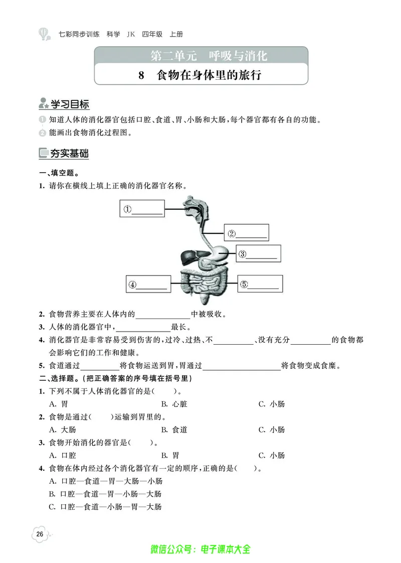 科学4a_2024年人教版小学数学一二三四五六年级上册下册期中期末试a0747_小学全科《同步练习+精品试卷》打包下载（1-6年级单元月考期中期末试卷）_小学科学