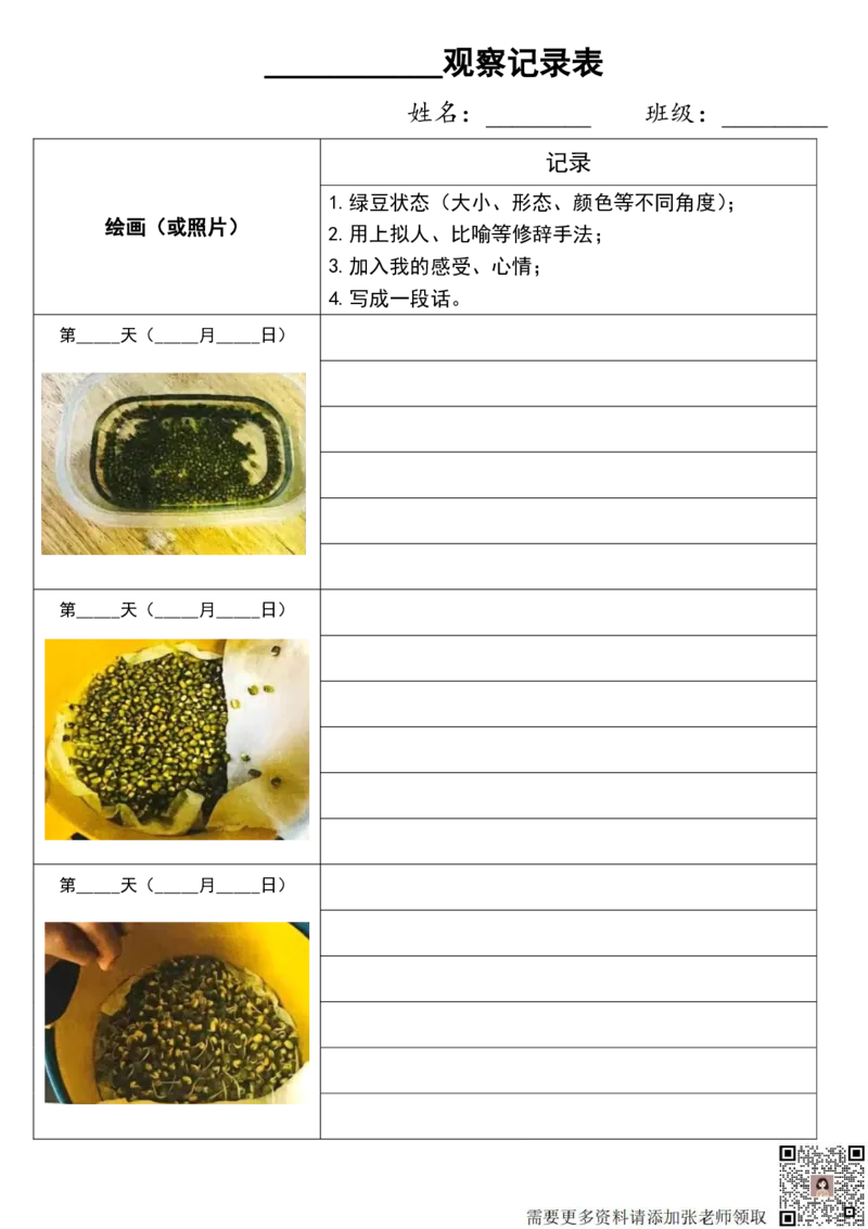 10.6四上第三单元绿豆生长观察表(1)_三年级上下册资料_三年级上册小红书同款资料_三年级(1)