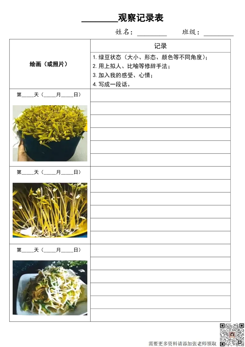 10.6四上第三单元绿豆生长观察表(1)_三年级上下册资料_三年级上册小红书同款资料_三年级(1)