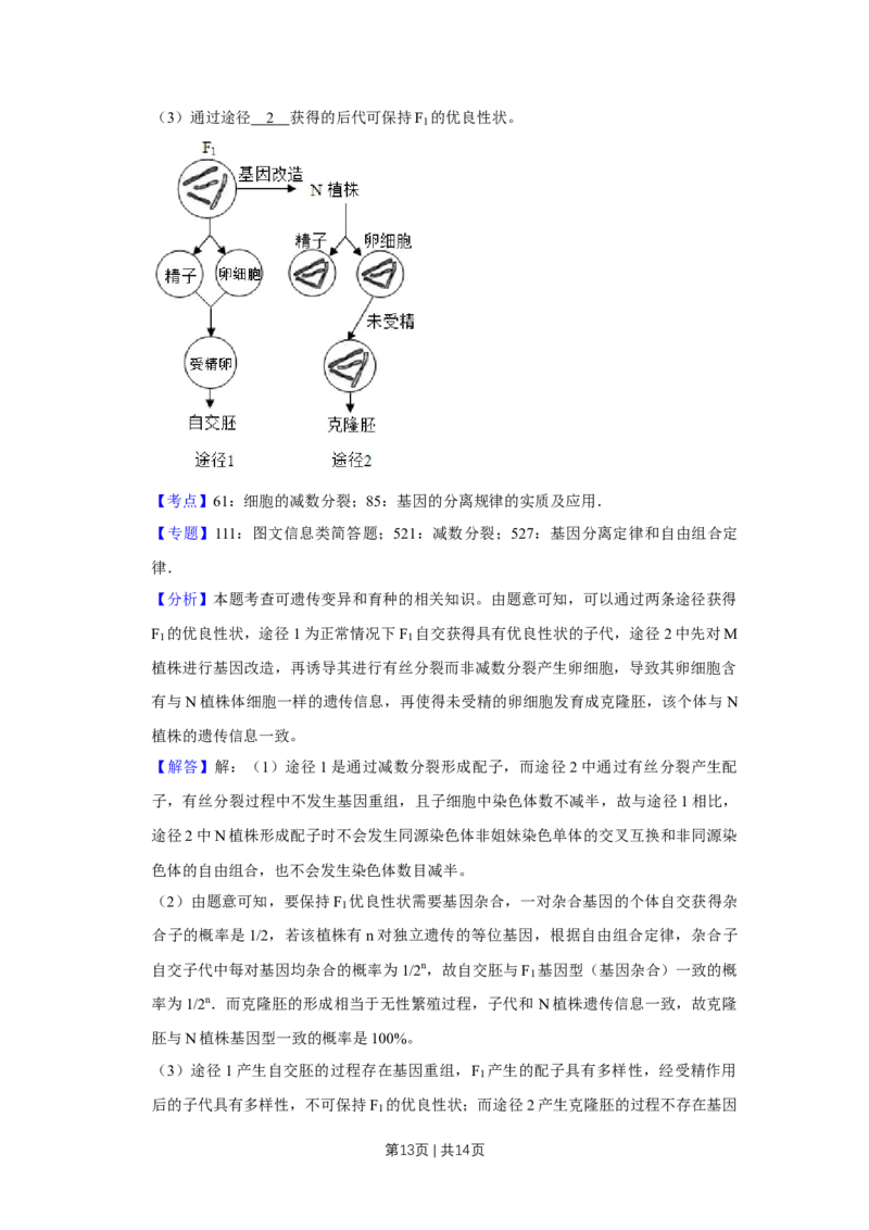 2019年高考生物试卷（天津）（解析卷）_生物历年高考真题_新&middot;Word版2008-2025&middot;高考生物真题_生物（按年份分类）2008-2025_2019&middot;高考生物真题
