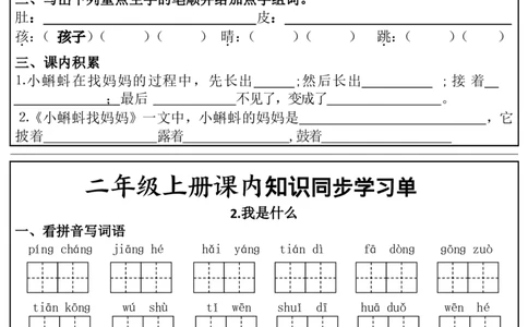 1_二年级上册课内知识同步学习单(1)(1)_二年级上下册资料_二年级上册小红书同款资料_二年级