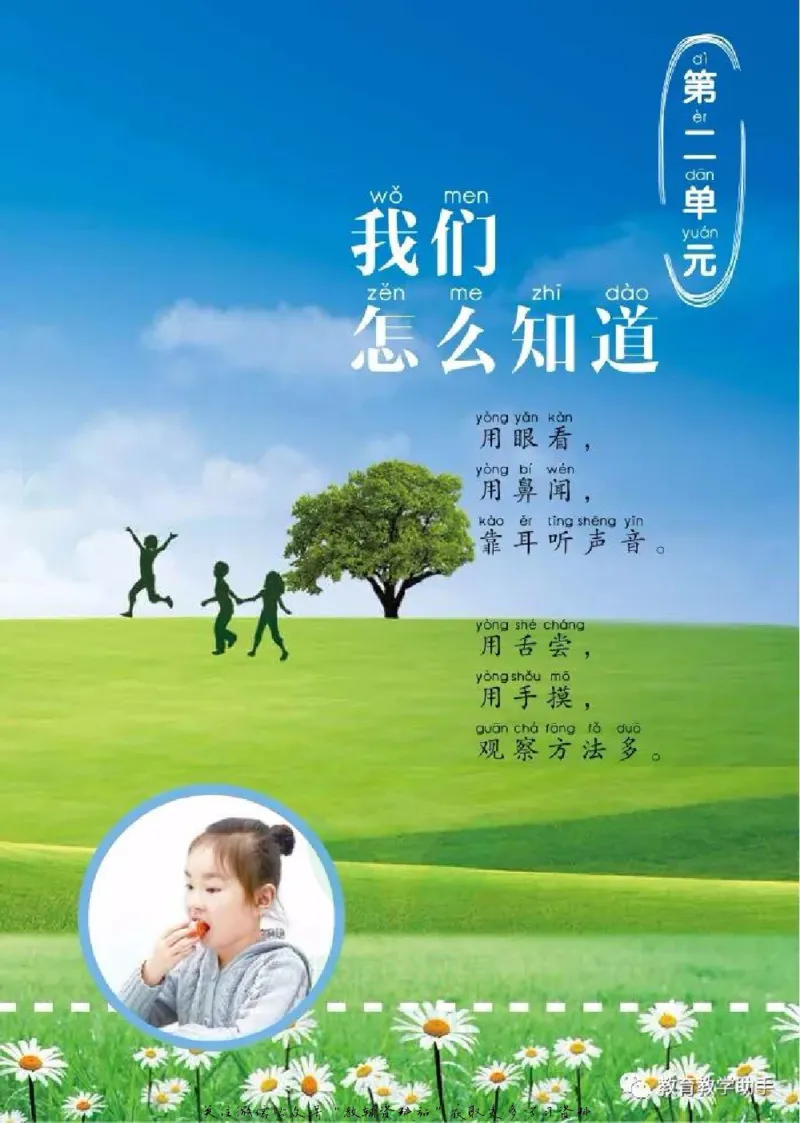 一年级上册科学青岛版五四制电子课本_全部版本&bull;小学科学电子课本_青岛版54制小学科学课本