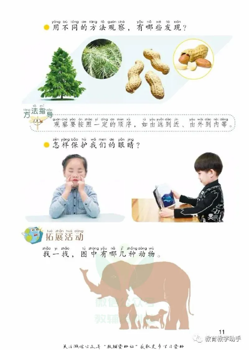 一年级上册科学青岛版五四制电子课本_全部版本&bull;小学科学电子课本_青岛版54制小学科学课本