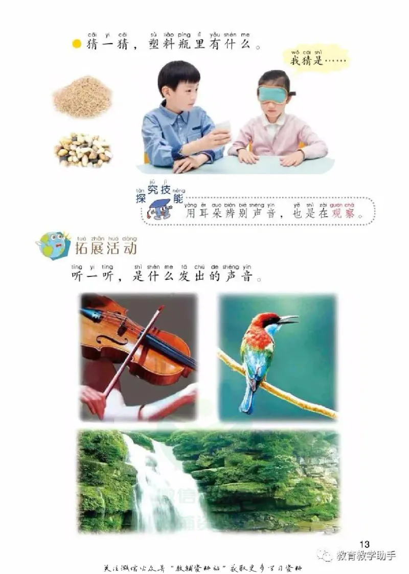 一年级上册科学青岛版五四制电子课本_全部版本&bull;小学科学电子课本_青岛版54制小学科学课本