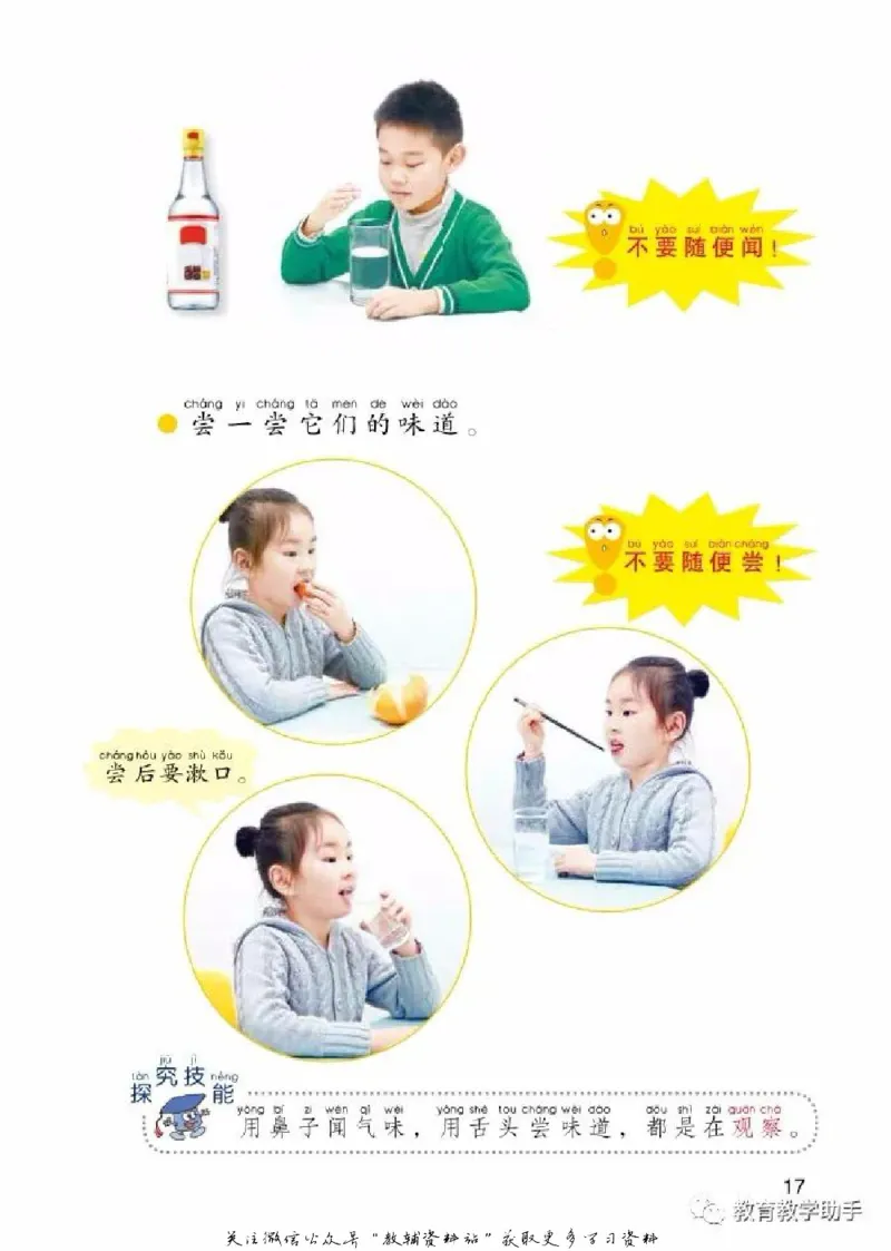 一年级上册科学青岛版五四制电子课本_全部版本&bull;小学科学电子课本_青岛版54制小学科学课本