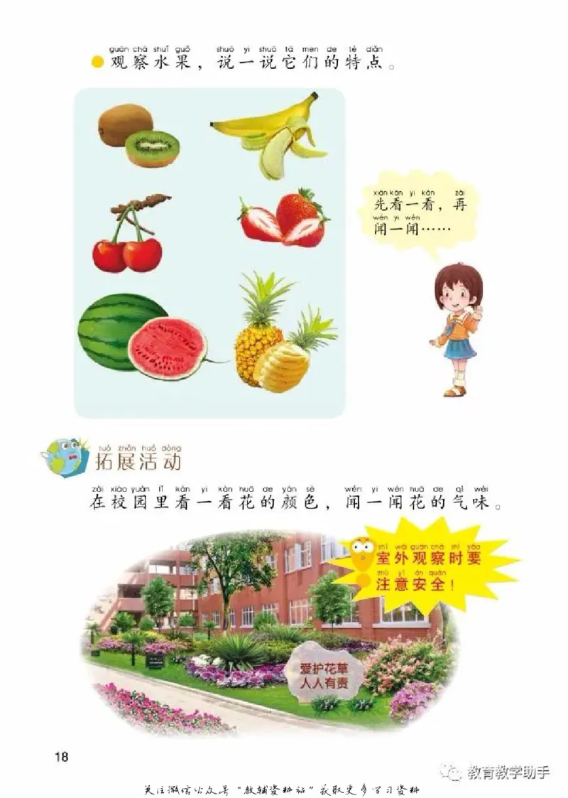 一年级上册科学青岛版五四制电子课本_全部版本&bull;小学科学电子课本_青岛版54制小学科学课本