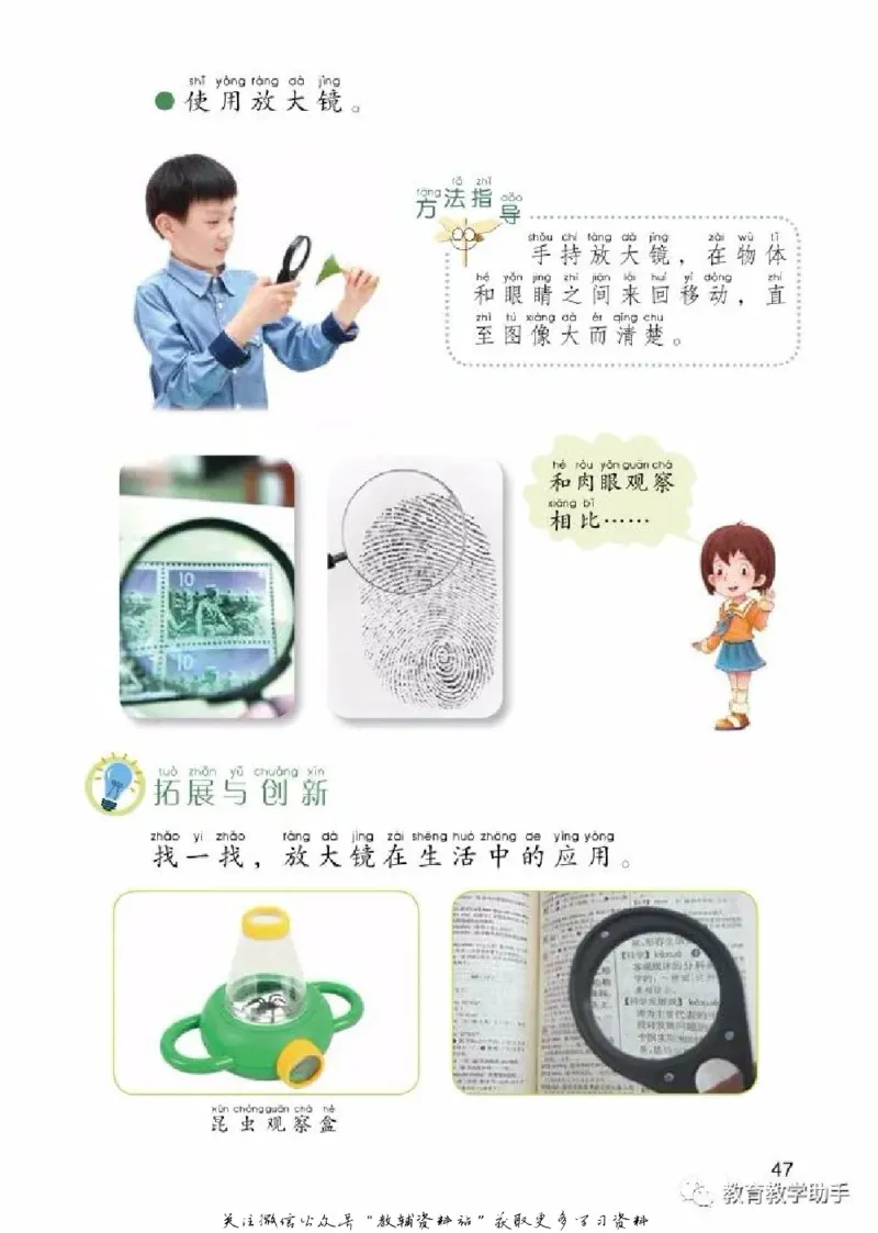 一年级上册科学青岛版五四制电子课本_全部版本&bull;小学科学电子课本_青岛版54制小学科学课本